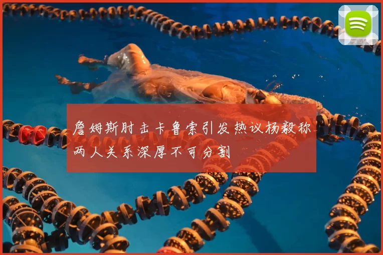 詹姆斯肘击卡鲁索引发热议杨毅称两人关系深厚不可分割