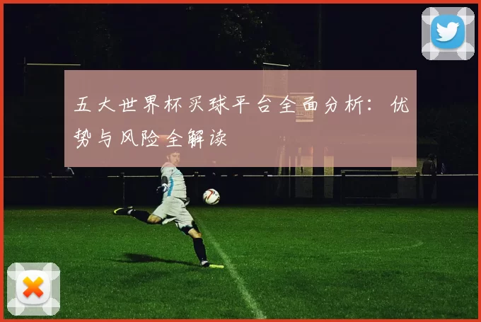 五大世界杯买球平台全面分析:优势与风险全解读