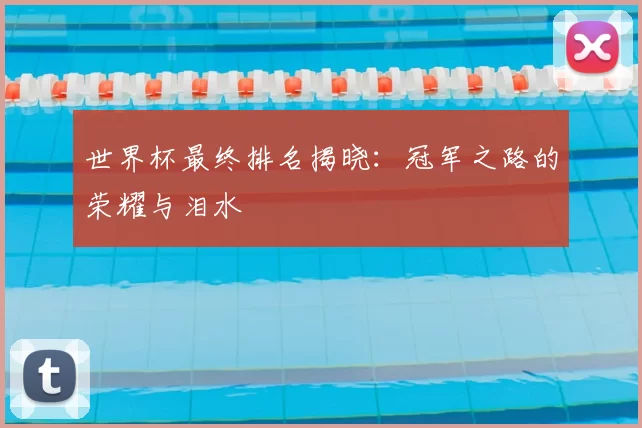 世界杯最终排名揭晓:冠军之路的荣耀与泪水