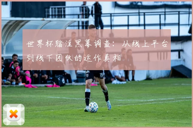 世界杯赌注黑幕调查：从线上平台到线下团伙的运作真相
