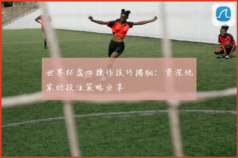 世界杯盘口操作技巧揭秘:资深玩家的投注策略分享