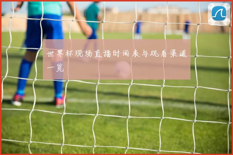 世界杯现场直播时间表与观看渠道一览