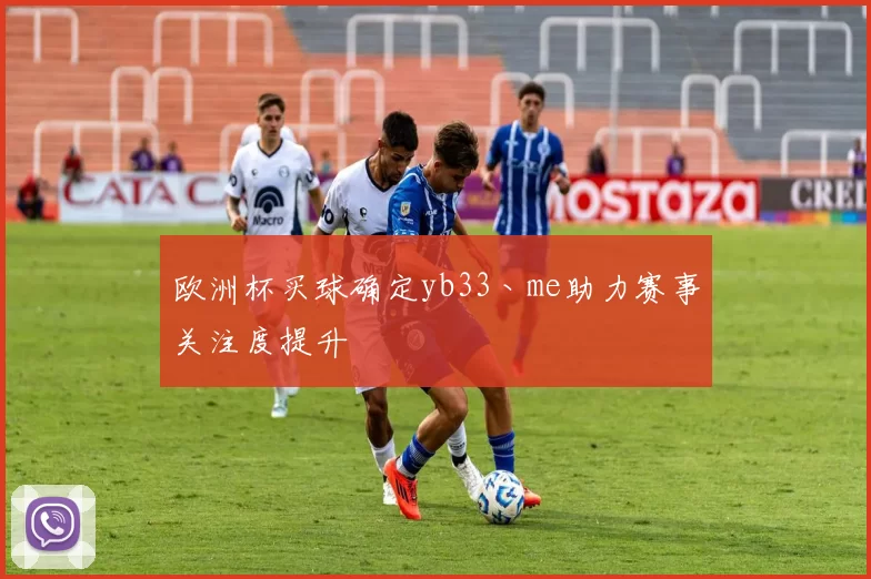 欧洲杯买球确定yb33丶me助力赛事关注度提升