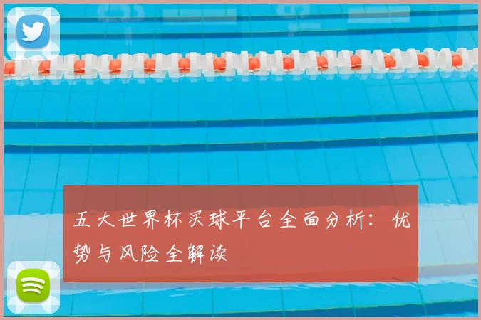 五大世界杯买球平台全面分析:优势与风险全解读