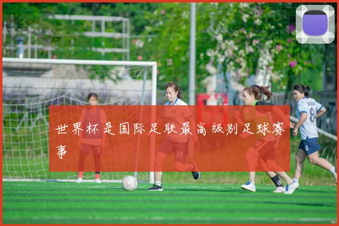 世界杯是国际足联最高级别足球赛事