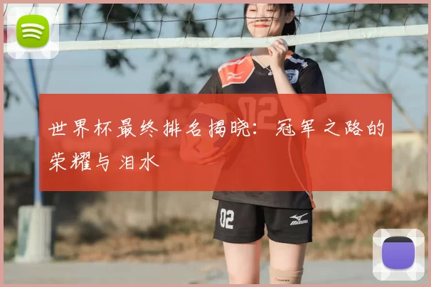 世界杯最终排名揭晓:冠军之路的荣耀与泪水